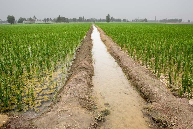 Expanded Irrigation Systems